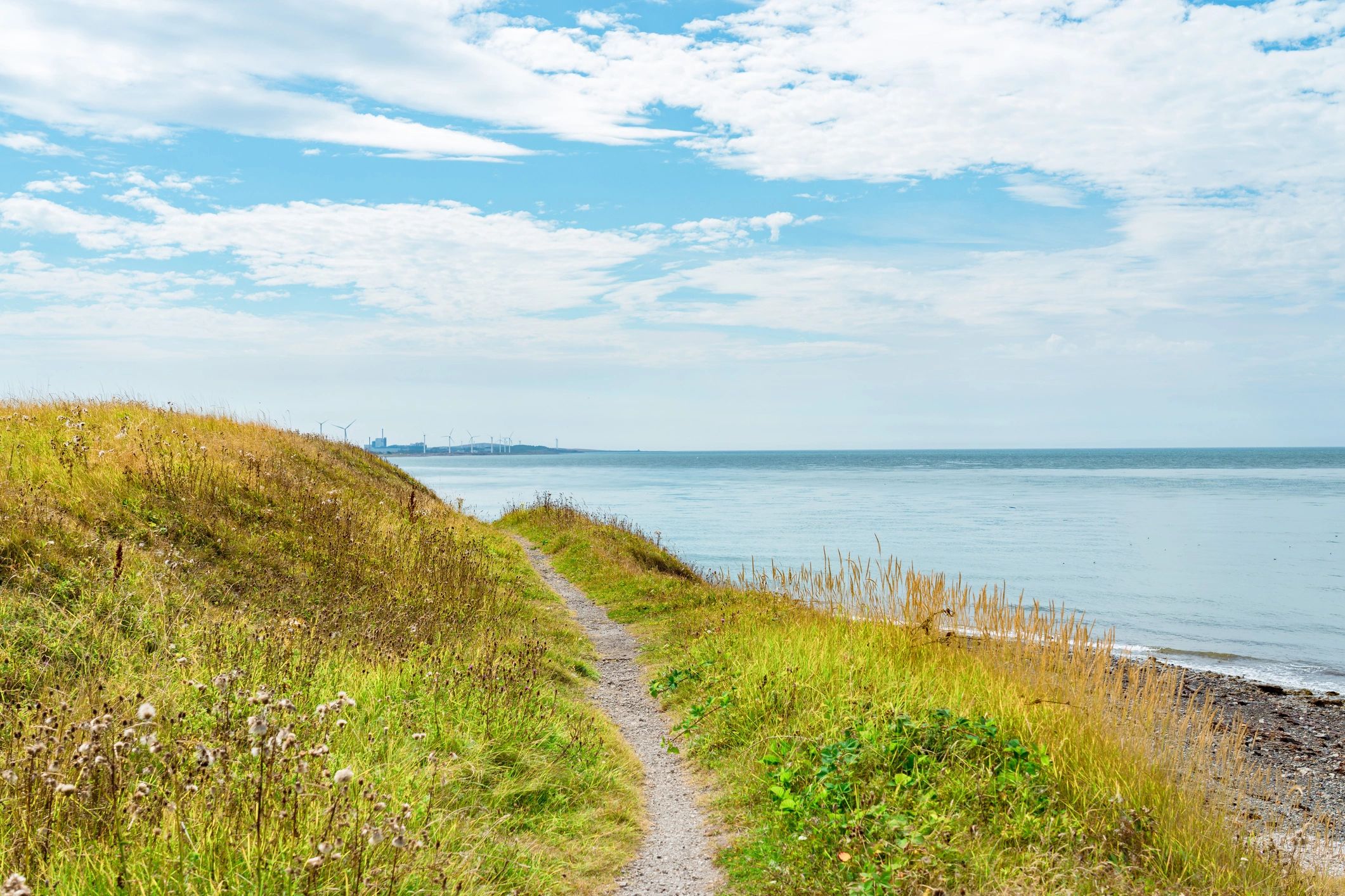 A Gentle Reset for Stressful Days